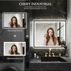 Chery  Industrial LED Bathroom Vanity Mirror for Wall, Backlit + Front-Lighted, Dimmable 36x72 L001B18191
